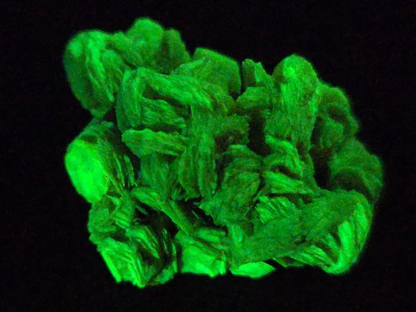 Autunite / Meta-autunite Crystal  - Fluorescent Uranium Ore, 5.7 Grams - Image 4