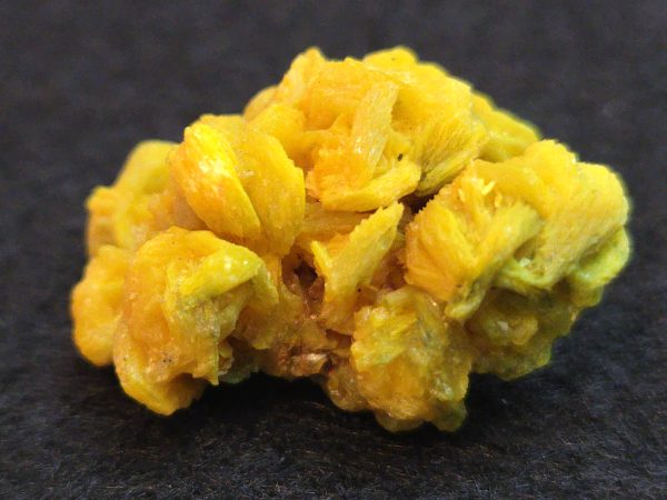 Autunite / Meta-autunite Crystal  - Fluorescent Uranium Ore, 5.7 Grams - Image 2