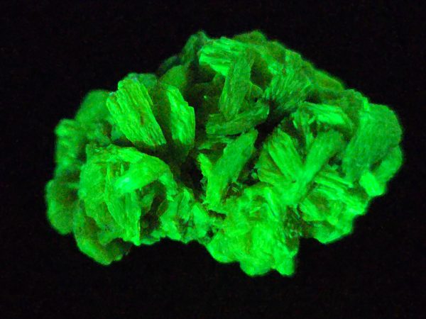 Autunite / Meta-autunite Crystal - Fluorescent Uranium Ore, 5.7 Grams