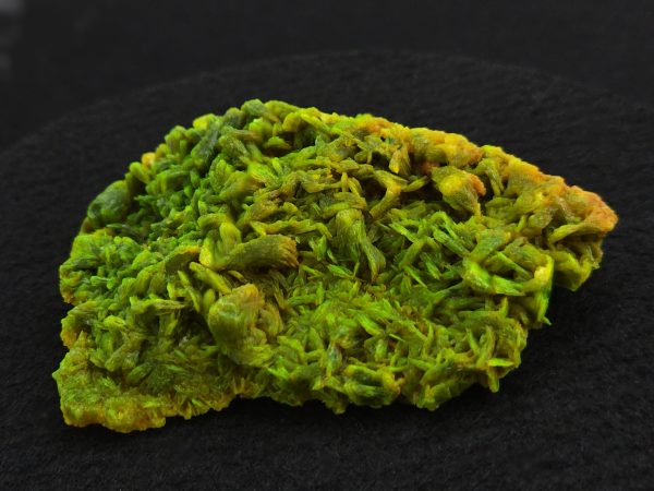 Lamellar Autunite Crystal  - Fluorescent Uranium Ore, 40 Grams - Image 8