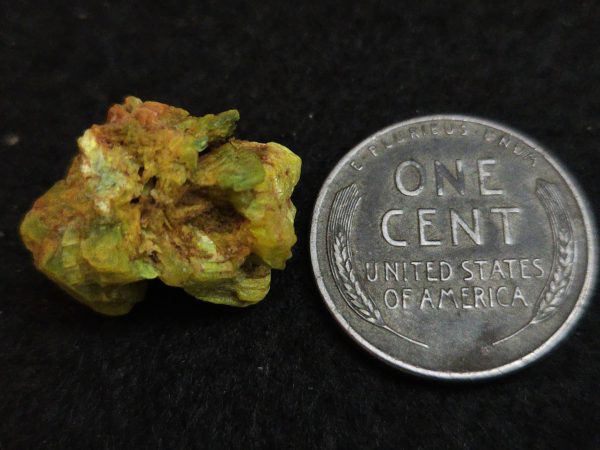 Autunite / Meta-autunite Crystal in Perky Box - Fluorescent Uranium Ore, 2.2 Grams - Image 16