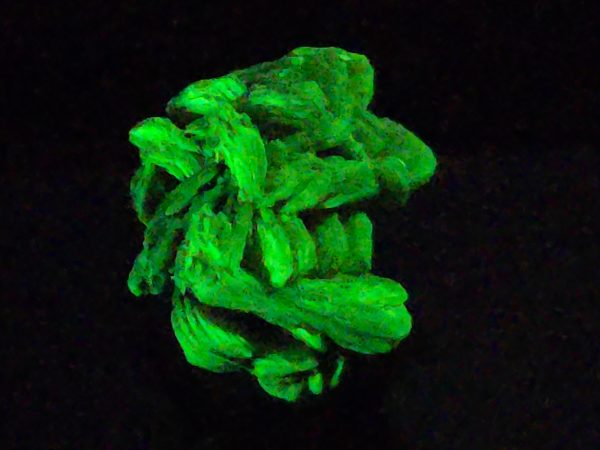 Autunite / Meta-autunite Crystal in Perky Box - Fluorescent Uranium Ore, 2.2 Grams - Image 5