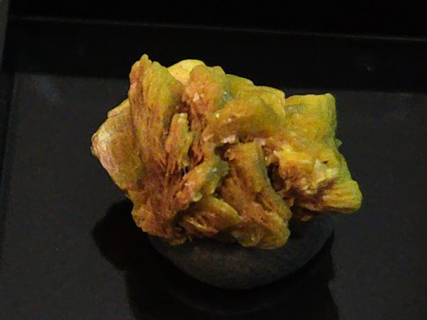 Autunite / Meta-autunite Crystal in Perky Box - Fluorescent Uranium Ore, 2.2 Grams - Image 7