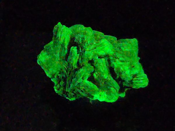 Autunite / Meta-autunite Crystal in Perky Box - Fluorescent Uranium Ore, 2.2 Grams - Image 8