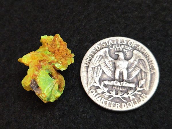 Autunite / Meta-autunite Crystal  - Fluorescent Uranium Ore, 2.7 Grams - Image 11