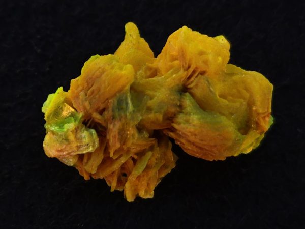 Autunite / Meta-autunite Crystal  - Fluorescent Uranium Ore, 2.7 Grams - Image 3