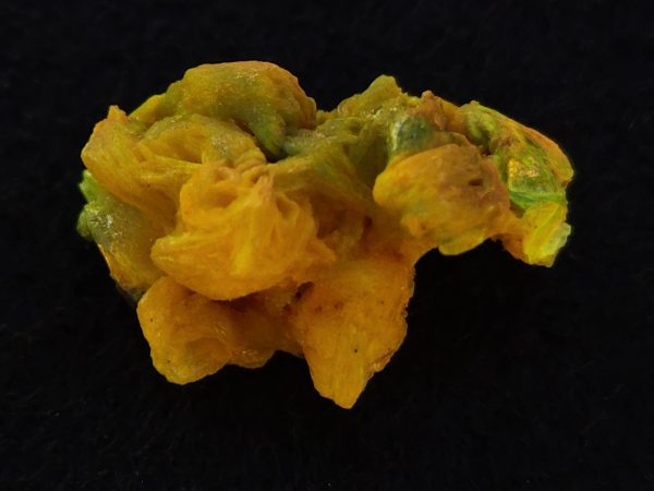 Autunite / Meta-autunite Crystal  - Fluorescent Uranium Ore, 2.7 Grams - Image 5