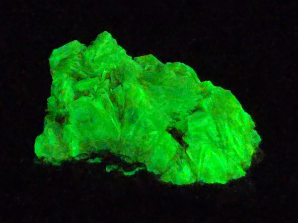 Autunite Crystal on Matrix in Perky Box  - Fluorescent Uranium Ore, 3.9 Grams - Image 5