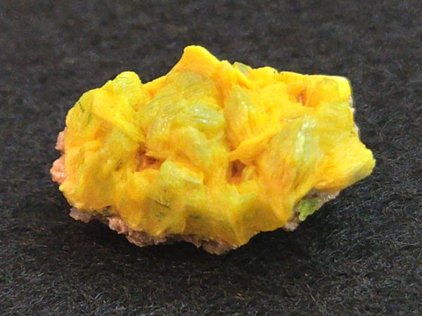 Autunite Crystal on Matrix in Perky Box  - Fluorescent Uranium Ore, 3.9 Grams - Image 4