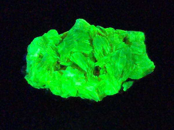 Autunite Crystal on Matrix in Perky Box  - Fluorescent Uranium Ore, 3.9 Grams - Image 2