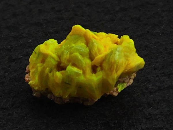 Autunite Crystal on Matrix in Perky Box  - Fluorescent Uranium Ore, 3.9 Grams - Image 3