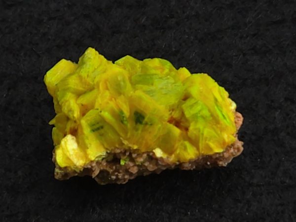Autunite Crystal on Matrix in Perky Box  - Fluorescent Uranium Ore, 3.9 Grams - Image 6