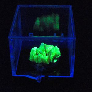 Autunite Crystal on Matrix in Perky Box - Fluorescent Uranium Ore, 3.9 Grams