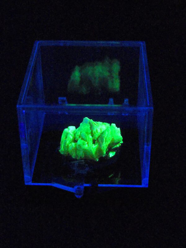 Autunite Crystal on Matrix in Perky Box - Fluorescent Uranium Ore, 3.9 Grams
