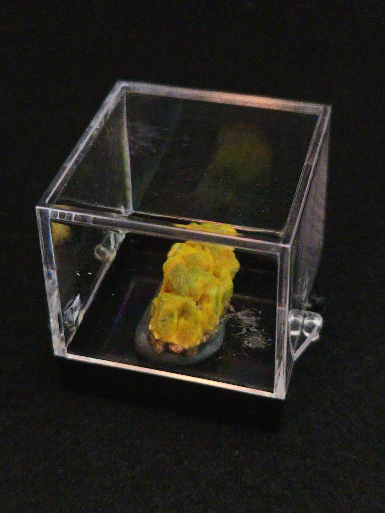 Autunite Crystal on Matrix in Perky Box  - Fluorescent Uranium Ore, 3.9 Grams