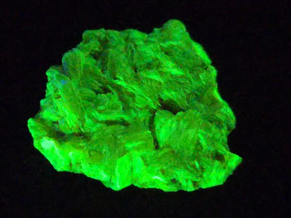 Autunite / Meta-autunite Crystal in Perky Box  - Fluorescent Uranium Ore, 3.4 Grams - Image 4