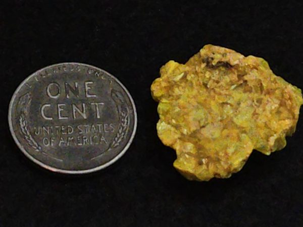 Autunite / Meta-autunite Crystal in Perky Box  - Fluorescent Uranium Ore, 3.4 Grams - Image 14