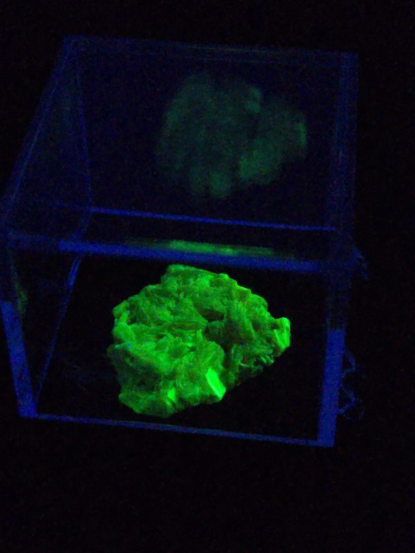 Autunite / Meta-autunite Crystal in Perky Box  - Fluorescent Uranium Ore, 3.4 Grams - Image 8