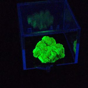 Autunite / Meta-autunite Crystal in Perky Box - Fluorescent Uranium Ore, 3.5 Grams