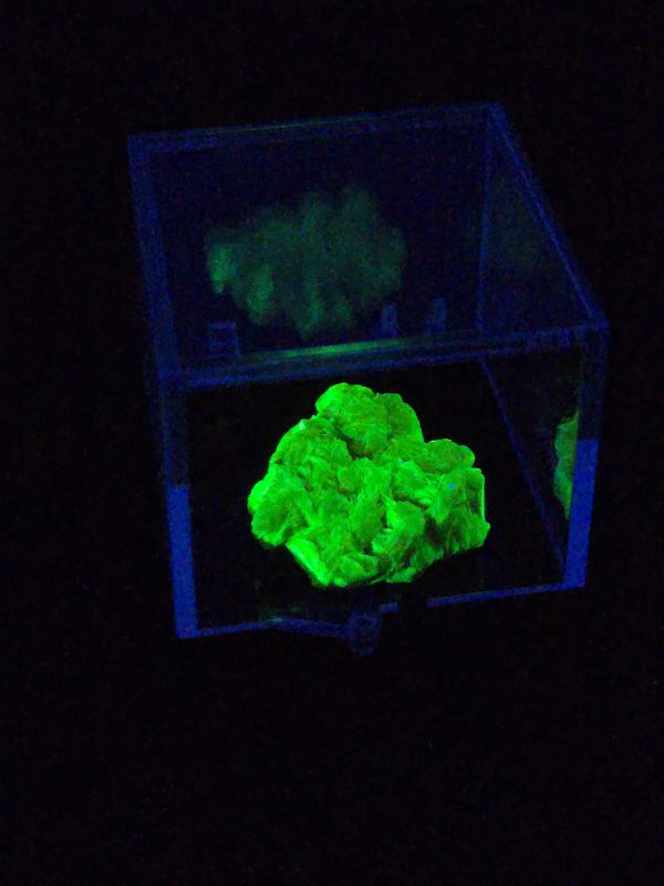 Autunite / Meta-autunite Crystal in Perky Box - Fluorescent Uranium Ore, 3.5 Grams