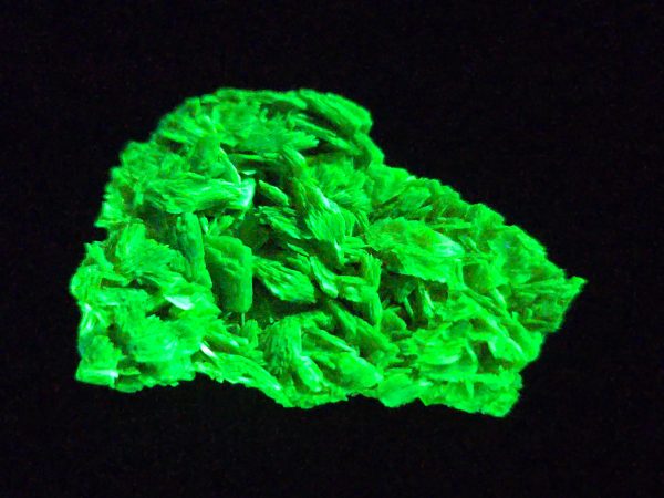 Autunite / Meta-autunite Crystal  Fluorescent Uranium Ore, 2.1 Grams - Image 5