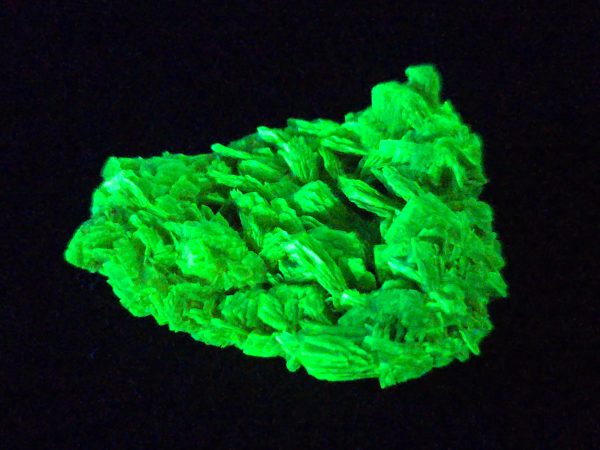 Autunite / Meta-autunite Crystal Fluorescent Uranium Ore, 2.1 Grams