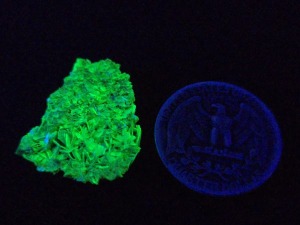 Autunite / Meta-autunite Crystal  Fluorescent Uranium Ore, 2.1 Grams - Image 9