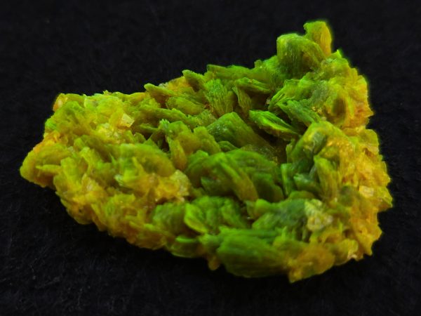 Autunite / Meta-autunite Crystal  Fluorescent Uranium Ore, 2.1 Grams - Image 3