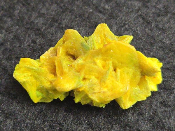 Autunite / Meta-autunite Crystal - Fluorescent Uranium Ore, 2.5 Grams