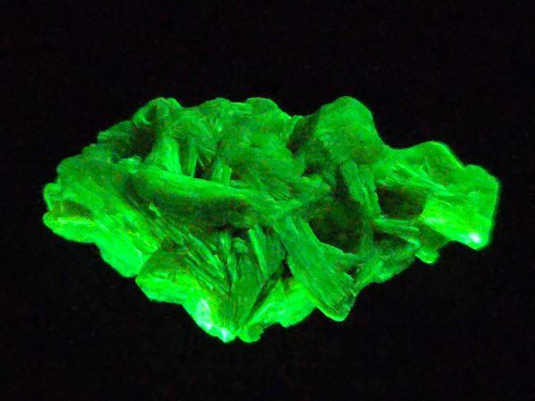 Autunite / Meta-autunite Crystal Fluorescent Uranium Ore, 2.5 Grams