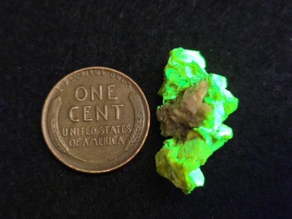 Autunite / Meta-autunite Crystal  Fluorescent Uranium Ore, 2.5 Grams - Image 11