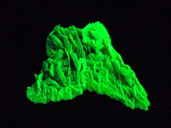 Autunite / Meta-autunite Crystal  Fluorescent Uranium Ore, 3 Grams - Image 5