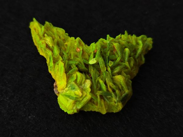 Autunite / Meta-autunite Crystal  Fluorescent Uranium Ore, 3 Grams - Image 6