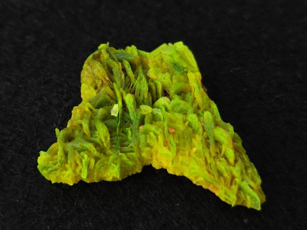 Autunite / Meta-autunite Crystal  Fluorescent Uranium Ore, 3 Grams - Image 7