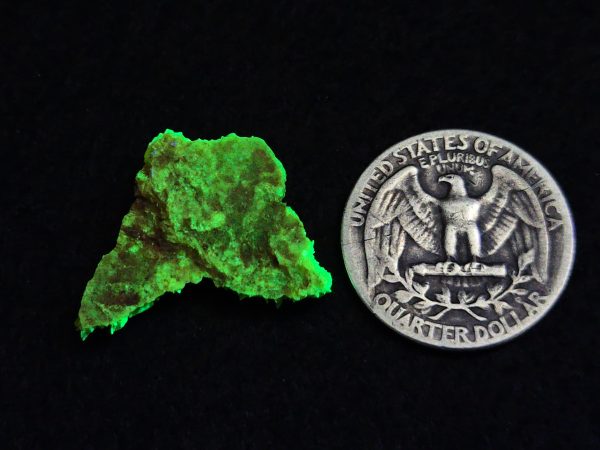 Autunite / Meta-autunite Crystal  Fluorescent Uranium Ore, 3 Grams - Image 12