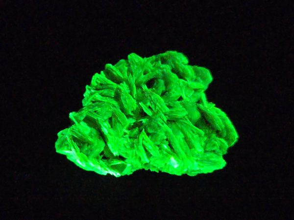 Autunite / Meta-autunite Crystal  Fluorescent Uranium Ore, 2.7 Grams - Image 4