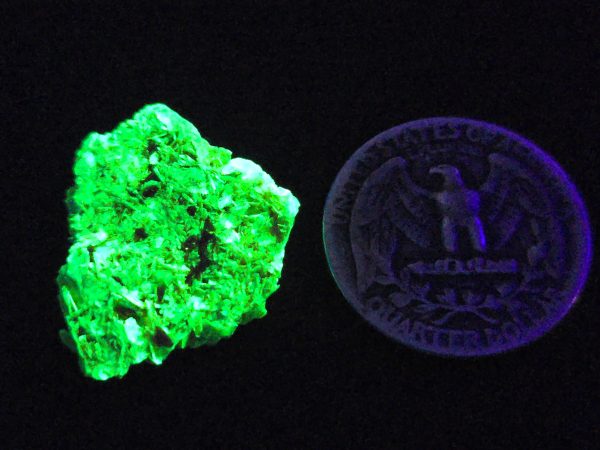 Autunite / Meta-autunite Crystal  Fluorescent Uranium Ore, 2.7 Grams - Image 11