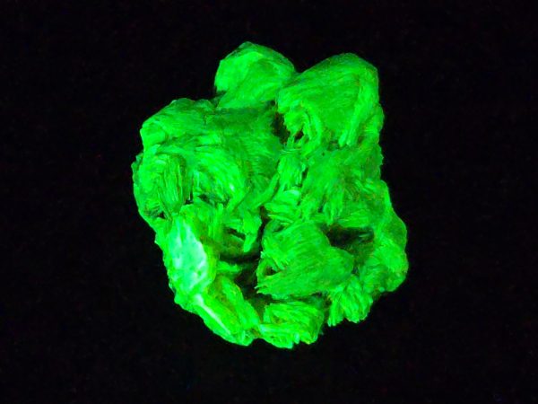 Autunite / Meta-autunite Crystal in Perky Box  - Fluorescent Uranium Ore, 4.5 Grams - Image 2