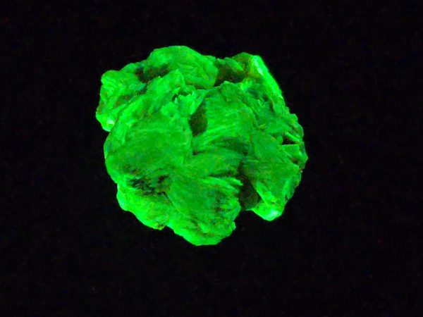 Autunite / Meta-autunite Crystal in Perky Box  - Fluorescent Uranium Ore, 4.5 Grams - Image 5