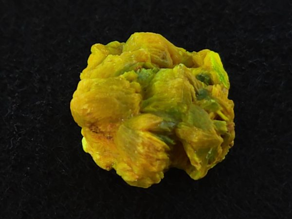 Autunite / Meta-autunite Crystal in Perky Box  - Fluorescent Uranium Ore, 4.5 Grams - Image 7