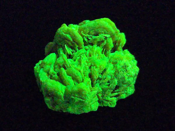 Autunite / Meta-autunite Crystal Fluorescent Uranium Ore, 7.3 Grams