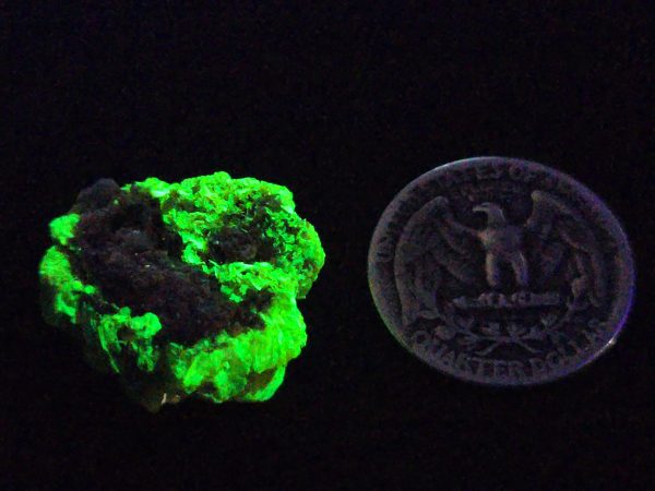 Autunite / Meta-autunite Crystal  Fluorescent Uranium Ore, 7.3 Grams - Image 13