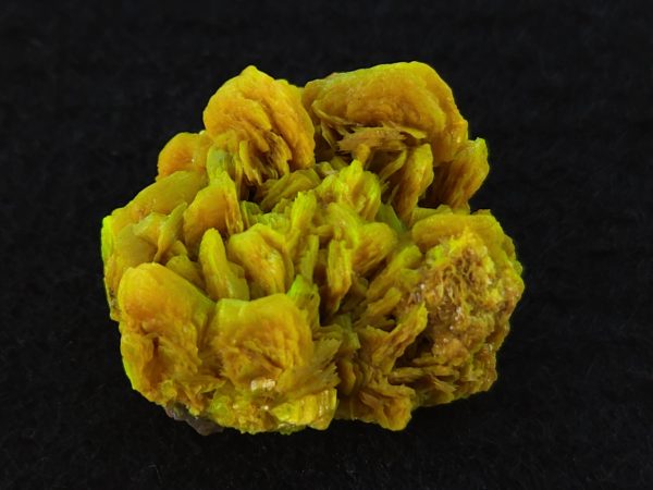 Autunite / Meta-autunite Crystal  Fluorescent Uranium Ore, 7.3 Grams - Image 2