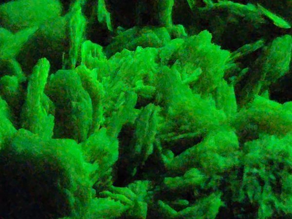 Autunite / Meta-autunite Crystal  Fluorescent Uranium Ore, 7.3 Grams - Image 11