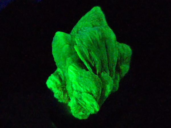 Lamellar Autunite Crystal in Perky Box – Fluorescent Uranium Ore, 2.4 Grams - Image 4