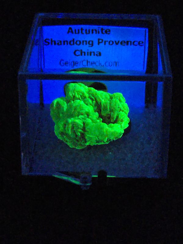 Autunite / Meta-autunite Crystal in Perky Box - Fluorescent Uranium Ore, 4.5 Grams