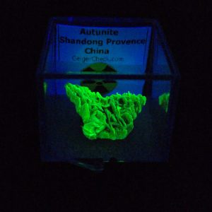 Autunite / Meta-autunite Crystal in Perky Box - Fluorescent Uranium Ore, 3 Grams