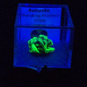 Autunite / Meta-autunite Crystal in Perky Box - Fluorescent Uranium Ore, 2.2 Grams