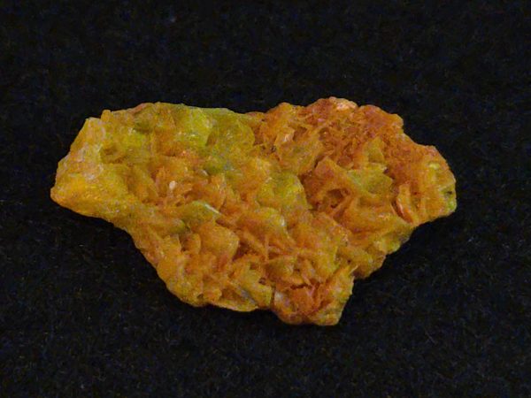 Autunite Crystal in Perky Box , 840mg – Fluorescent Uranium Ore - Image 2