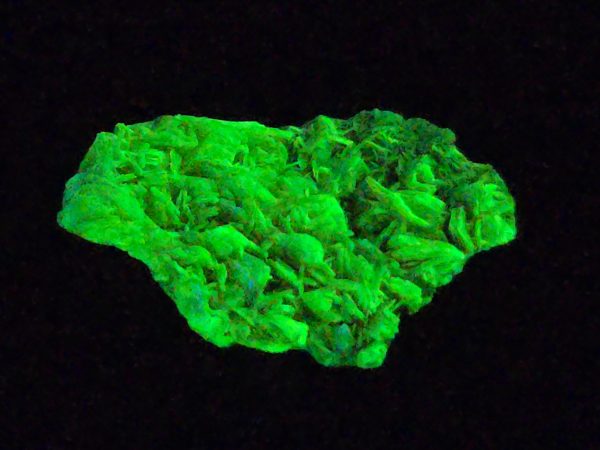 Autunite Crystal in Perky Box , 840mg – Fluorescent Uranium Ore